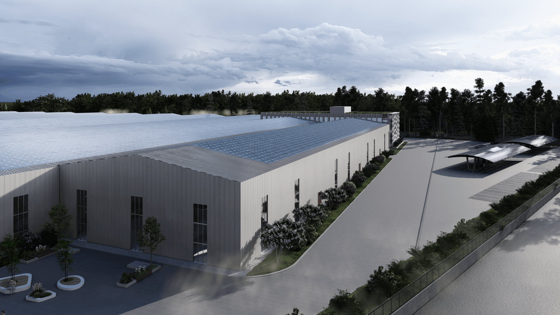 001_BULGARİA_SMART_Interior - Forest window RT